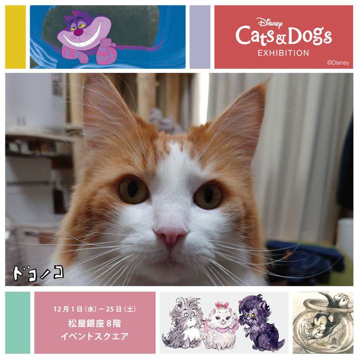 97e50051 72d6 4511 b47d cfc9f35b6c6b 1638335791508