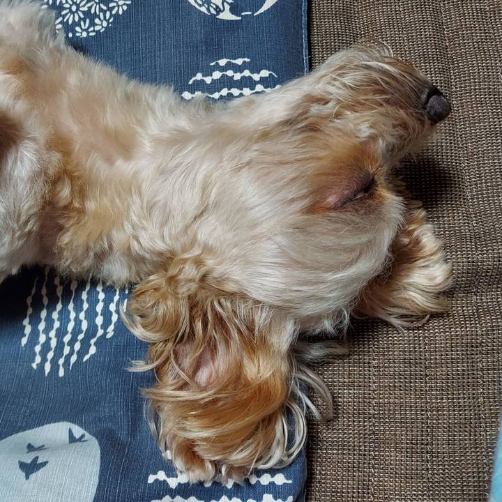 97e505de 0abf 4331 a902 994a8dbb4bc0 1631891902240