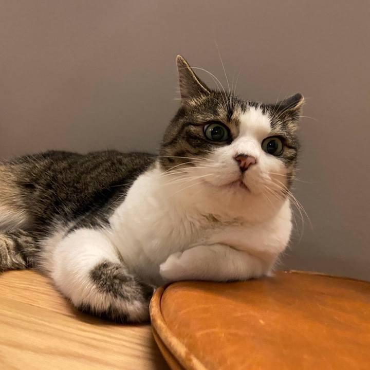 97e50a35 8fb9 4c27 9447 1cef10359383 1723786416534