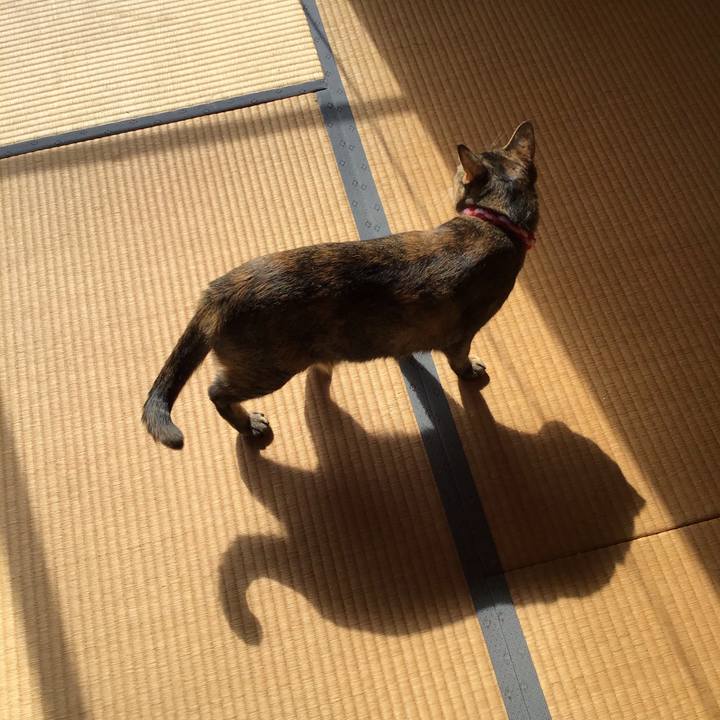 97e52298 059c 451c bfed 80f6789405e3 1604369668077