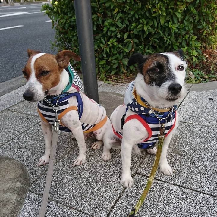 97e52693 e8e5 4dbf 91cc 6ccdbb292c1e 1569452009099