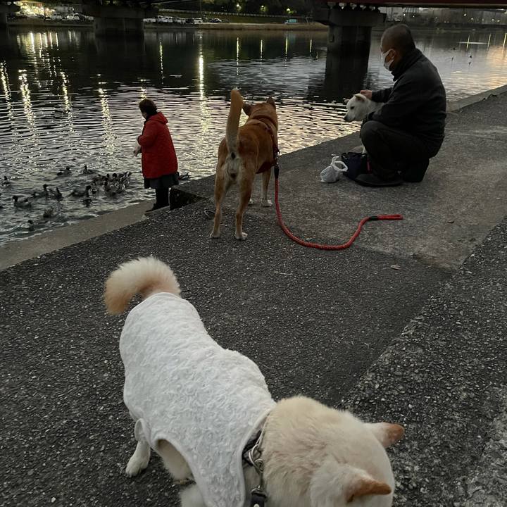 97e526ca 1509 41d2 8498 95b2507eb153 1640573432740