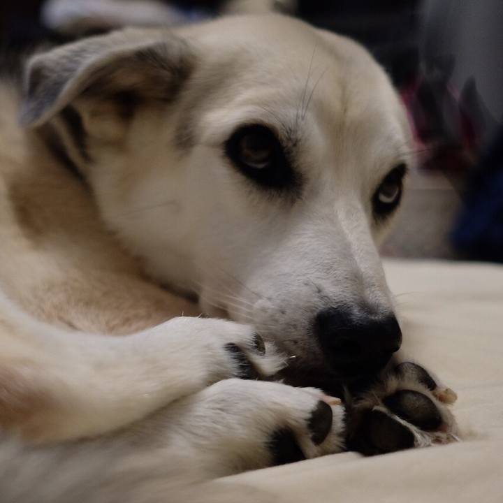 97e5880e 998a 4d21 a015 03d295b4294c 1566478189276