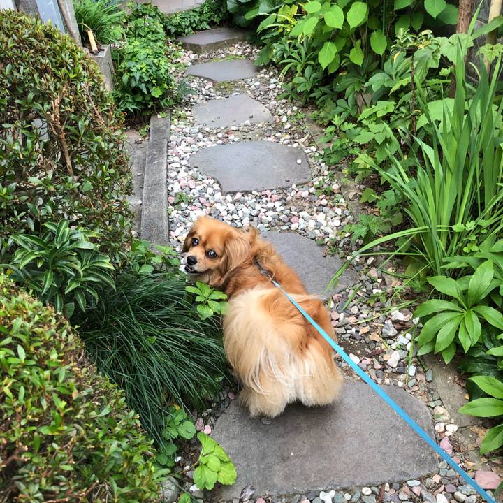 97e5c35d 232d 4df0 94f5 abdb69049ba6 1561066270262