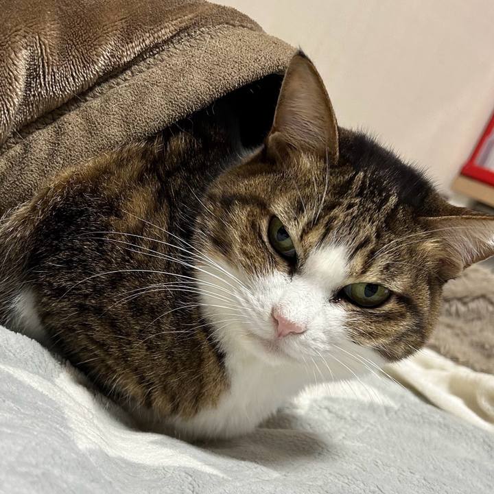 97e5f788 a0b2 41a5 973a 581edf1e8b8e 1769300110644