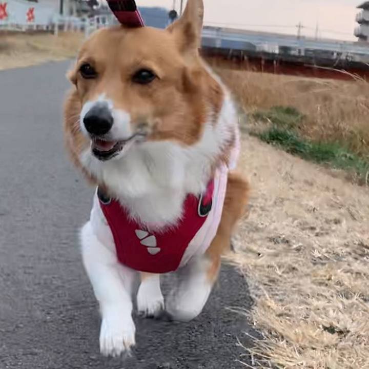 97e5f896 70d9 4173 99c8 ae1d2b454fa4 1675841791740