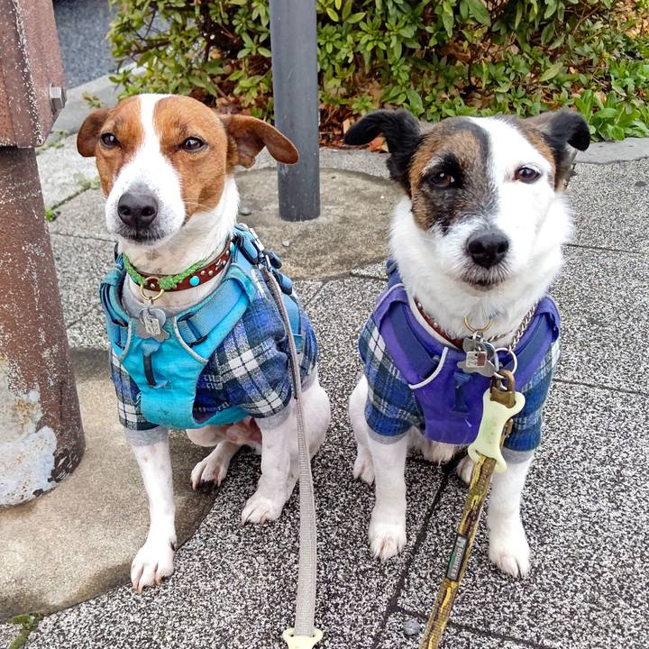 97e6379f 88b8 4ed3 9503 2e308a96f97e 1647555463382