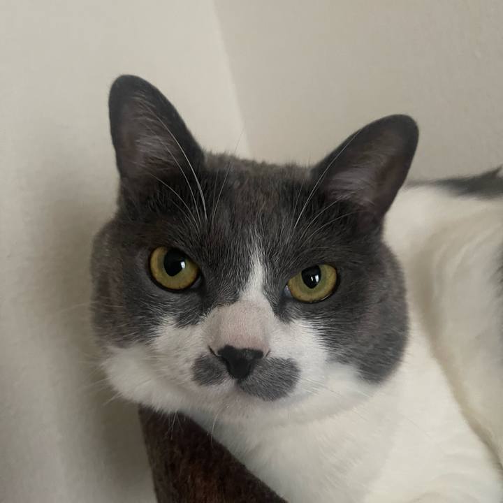 97e65b09 2346 44da 9efb a039b04d9295 1686539623770