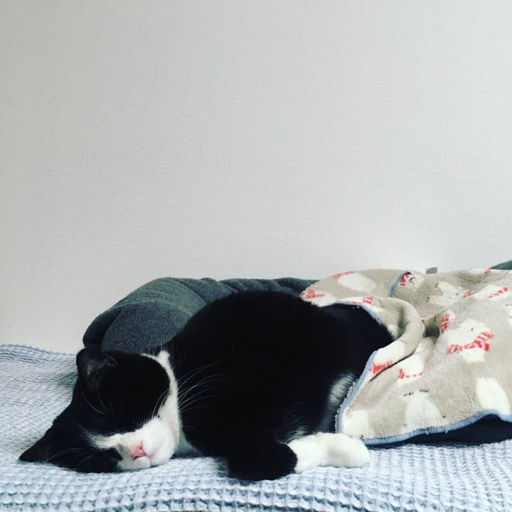 97e67466 418b 43ce affc e5fb93e8f22b 1639918571291