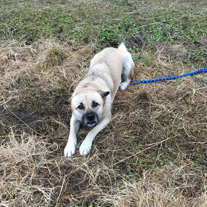 97e69467 fab1 440a 89e8 c2ed9e87d766 1513430235474