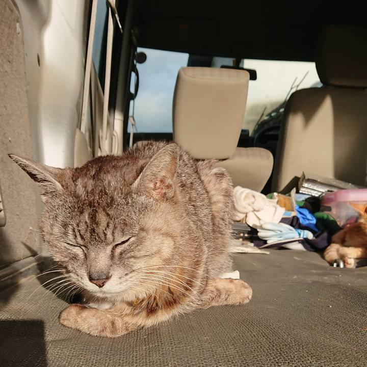 97e6be2e 953c 4d74 98b5 50e88d60bac6 1593723072049