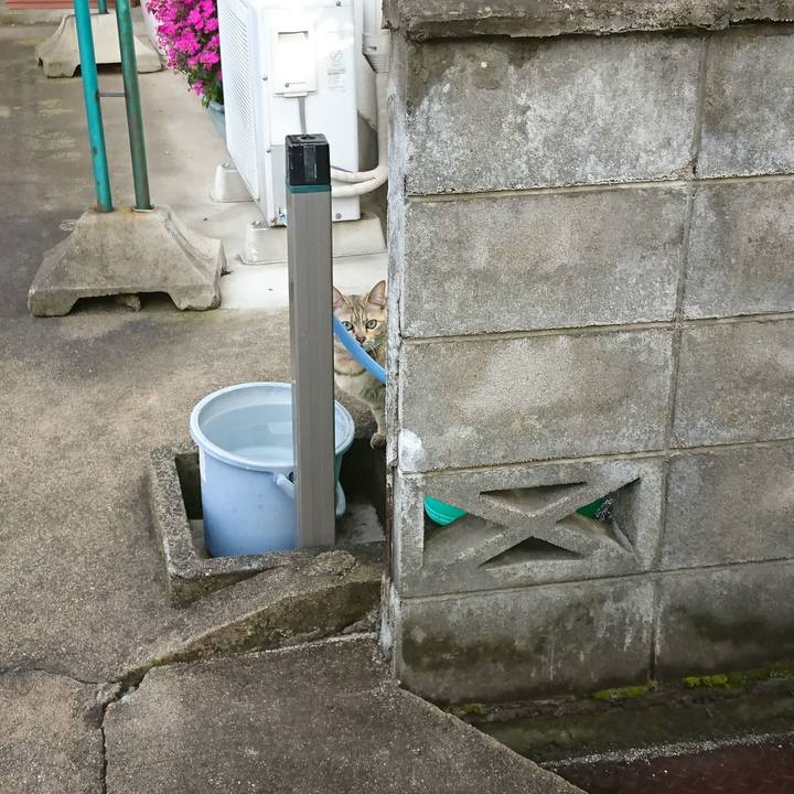 97e6df40 c2e4 4a20 b311 8e7f13b8edb4 1527112163758