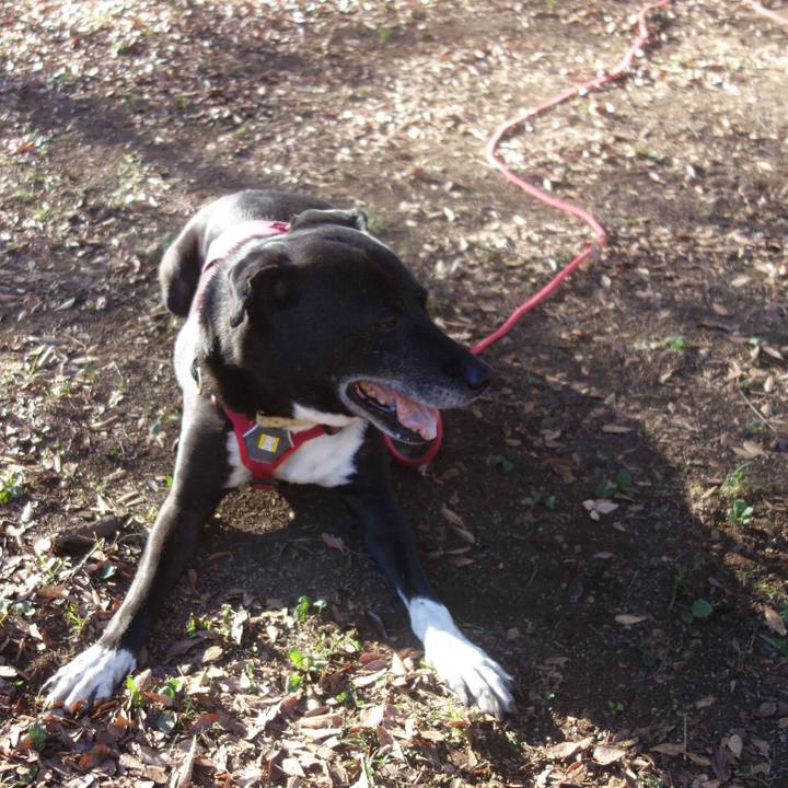 97e6f3b2 3f62 48da 88c9 bacf8665da85 1699924158123