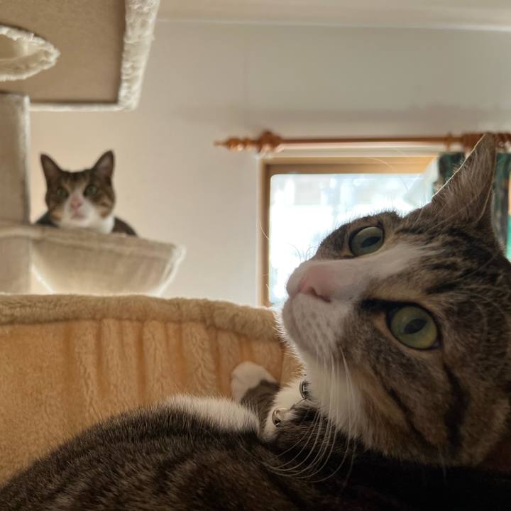 97e6fddc c8e8 42e1 b7ac 94567a86a67c 1710979376025