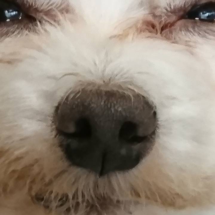 97e6fe41 013b 4e54 bdff d5449f5995b7 1523757228330