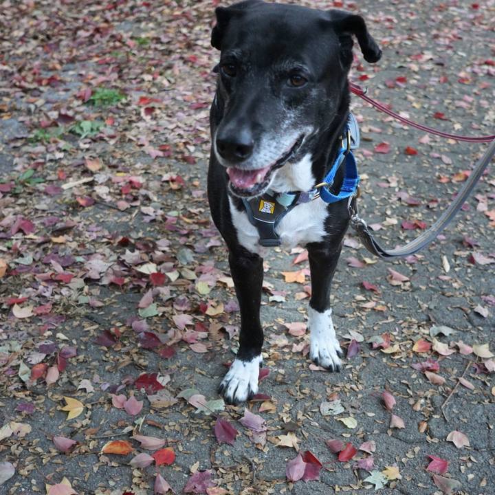 97e70b7b 497a 4a69 84ac 56bbd98cce97 1762388975687