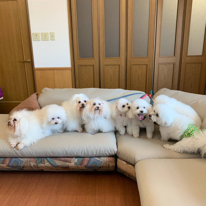 97e70d5f 1d72 4076 bd5b 3b738b1db29b 1550396262964