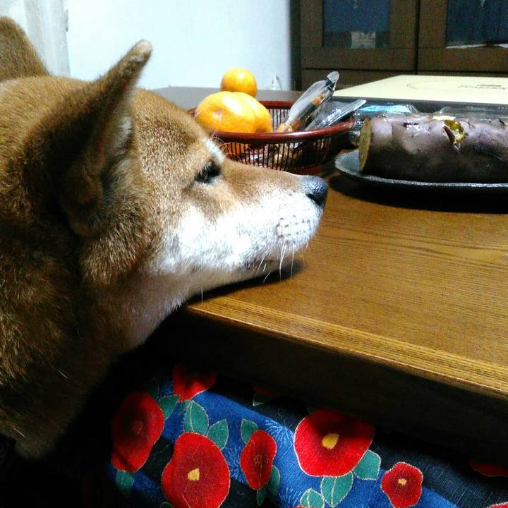 97e71b2c 943e 463a 9f56 3ce03f4618a8 1513506366376