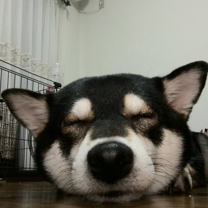 97e77625 a958 413d 89a3 a1a1de24da33 1539057626075