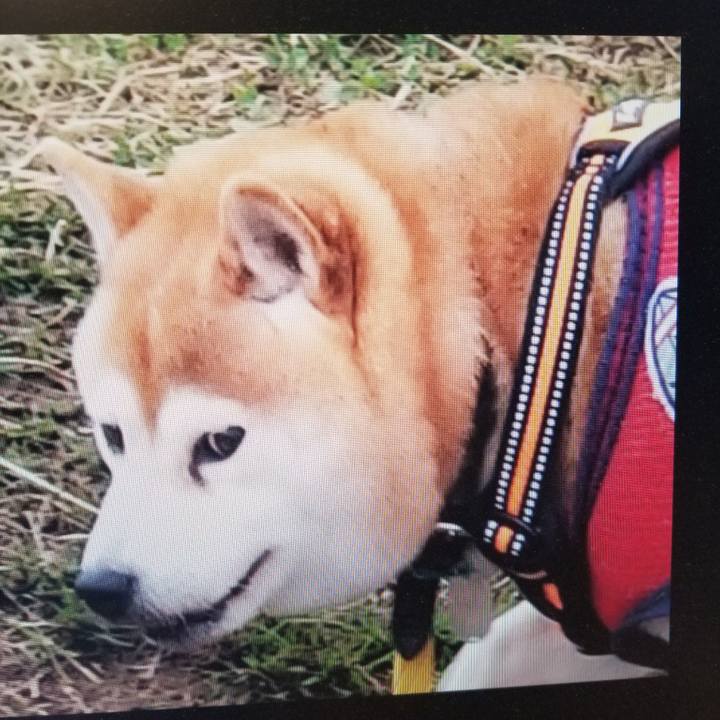 97e78ce2 dad6 4d73 99e1 944f25599fec 1709559865972