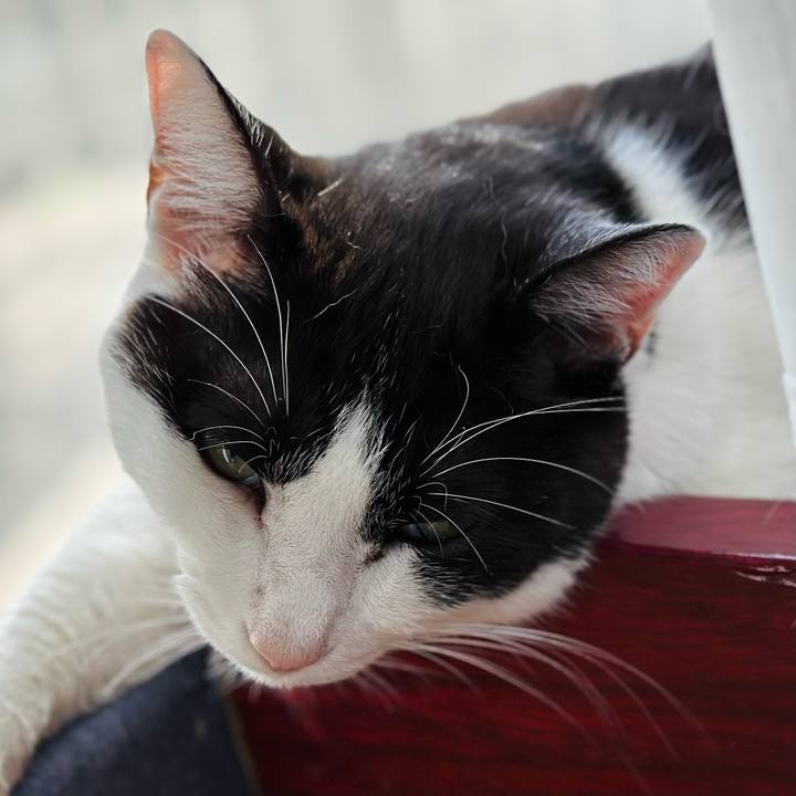 97e79a4d 6503 475b 81a6 347d7c4769a8 1667613631032