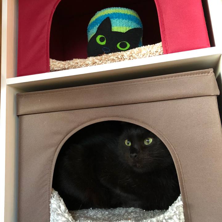 97e79a9a 2ddf 4886 b9c2 7d333cad87c8 1587068481363