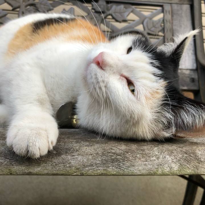 97e7a5ce 6056 4b3f 8a00 f0ef0d429914 1614982963201