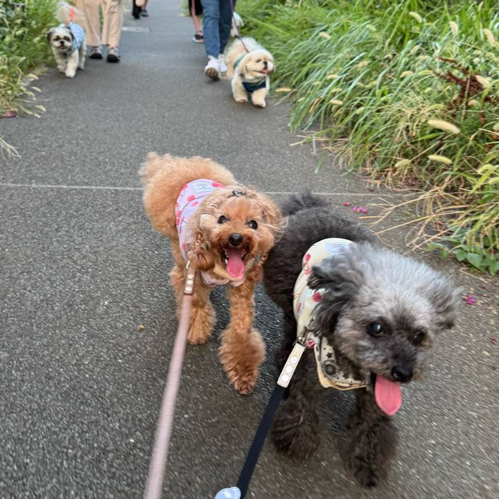 97e7b089 16d4 48a5 8820 3867bde621b5 1756249929261