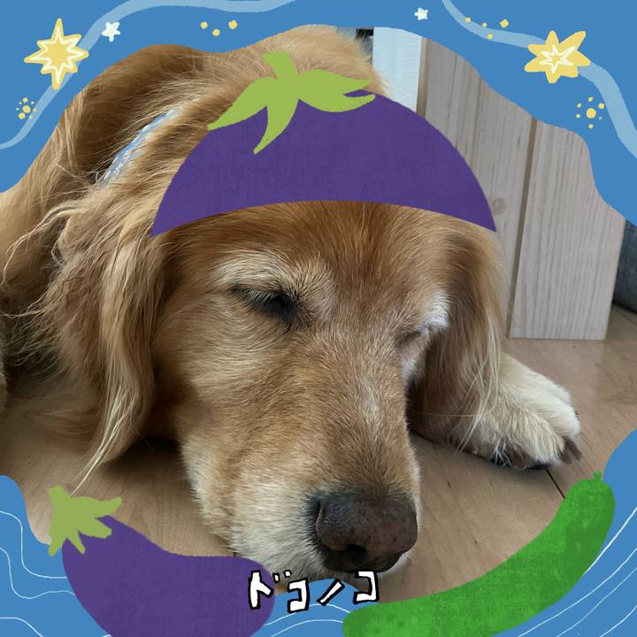 97e7dece d7ee 424f b9c3 63de529750f4 1755405583917