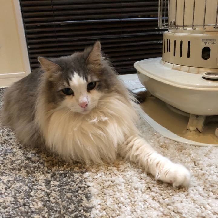 97e8014a 9aae 4a78 bcca 4124fccfcdca 1515163923099