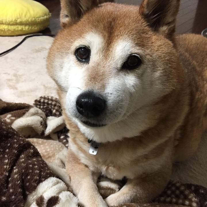 97e803a4 31bb 4eeb 92a4 6695ee1da46f 1521196941560