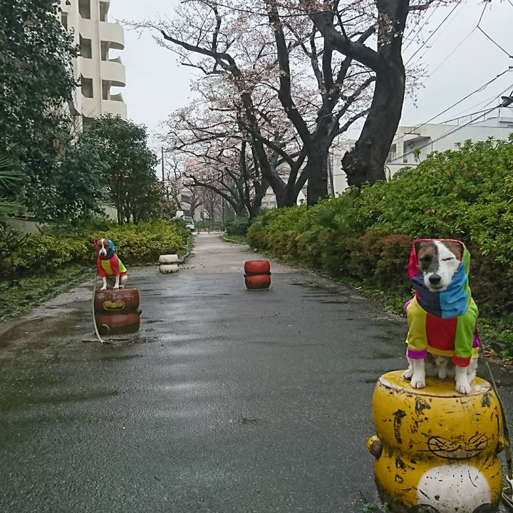 97e80c34 1c90 4d73 98e2 f9dd6007cf64 1616288815959