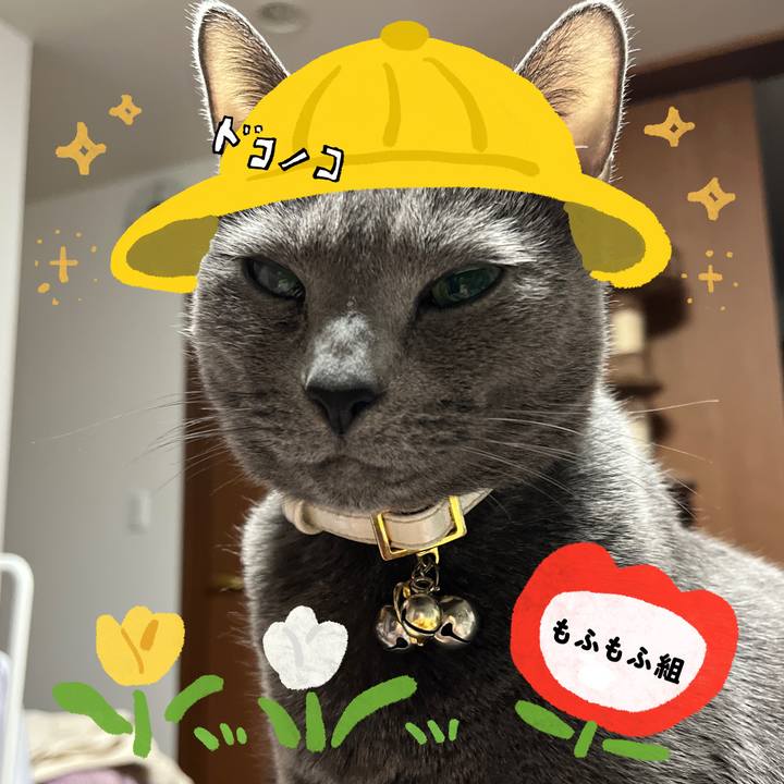 97e8178b 0a65 4f79 a498 3b4749bb4599 1712230458871