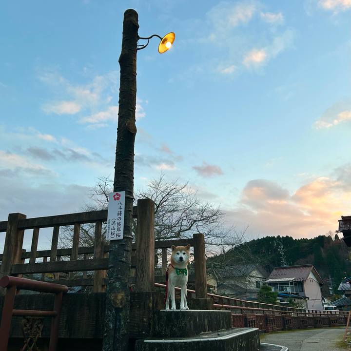 97e8271f e794 4dba 9bf3 ef4e64efa97b 1701516654974