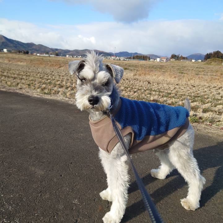 97e8394c 2a71 4569 89d0 f98947cac8ce 1773014562932