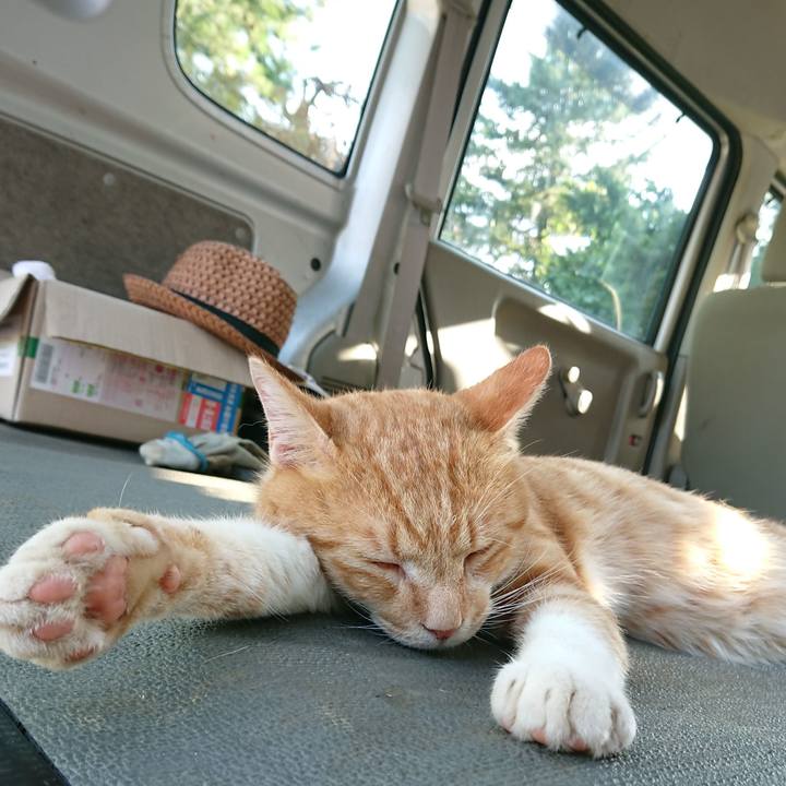 97e839b9 13df 4d4c 87c3 26b92cc59d73 1566027565923