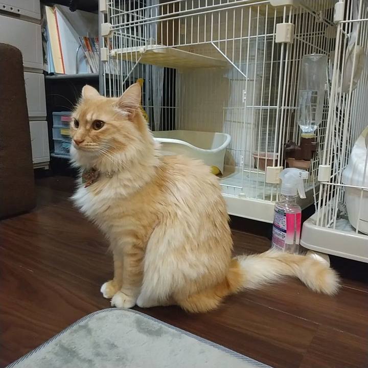 97e83d99 712a 4948 8232 1e2d3100ce84 1645452140362