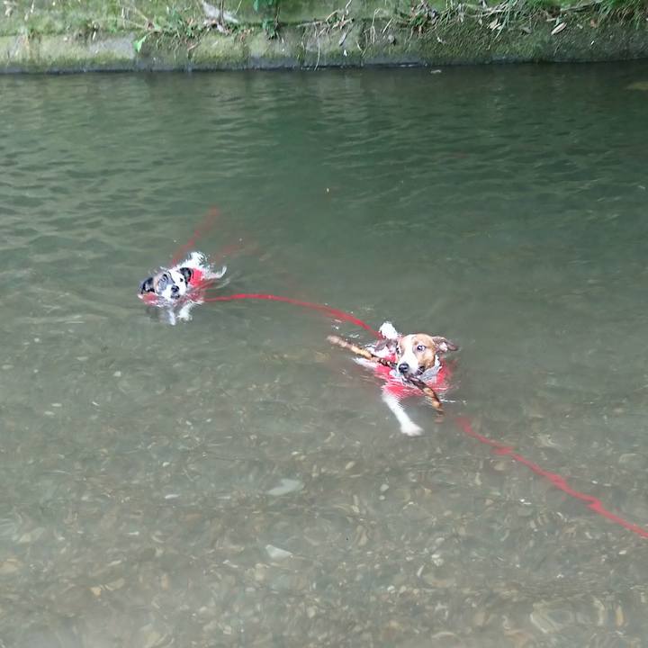 97e87570 65b8 42df 89a4 0c508a3b22d0 1565406599325