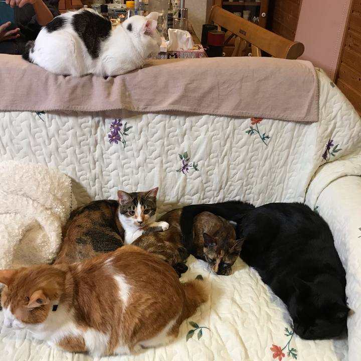 97e8af3c 39f4 46c5 a271 7fbbd63f5628 1609412210229