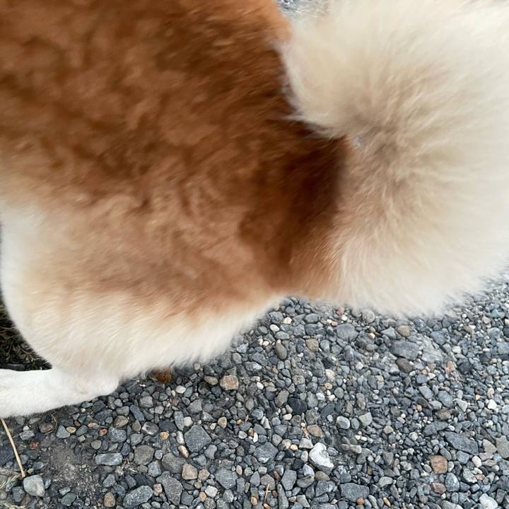 97e8c7dc 0108 47be b93b 5e6c1259993a 1693828567359