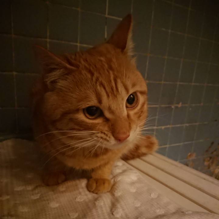 97e8d15e 237c 4862 8c1e dca8bf99d2ff 1645960540154