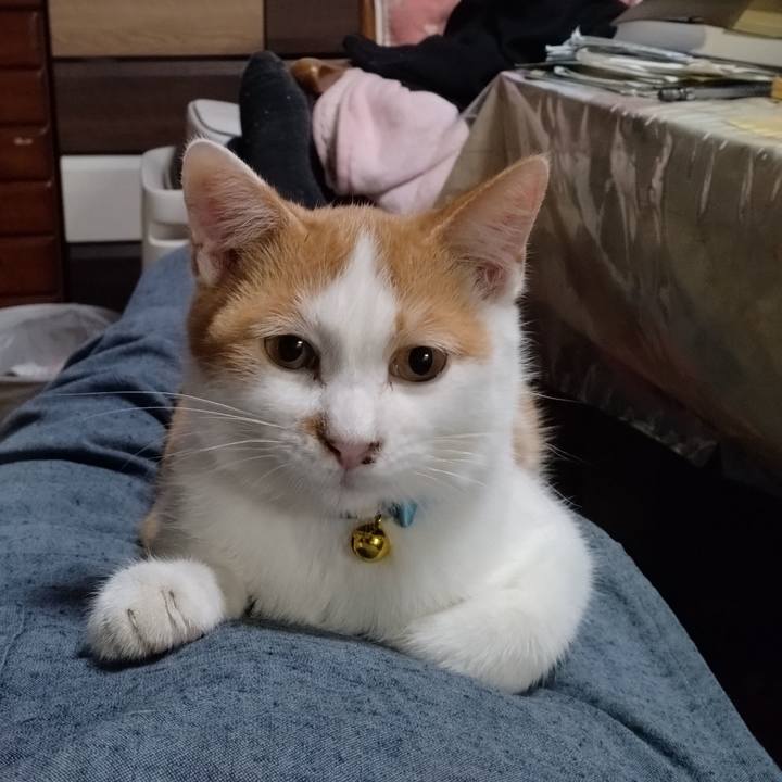 97e9177f 8127 472b 9839 a2c9a56dcb45 1732795828301