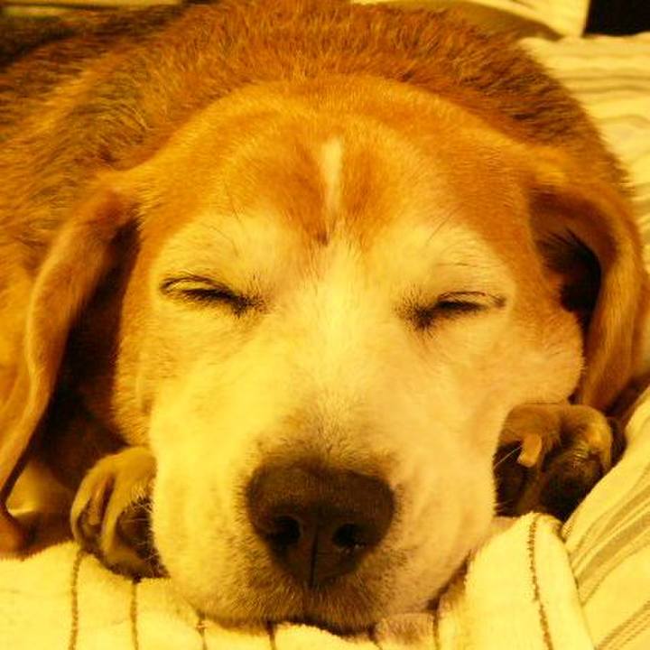 97e91da6 420a 4796 89fa 52a69ed0d52f 1649894975502