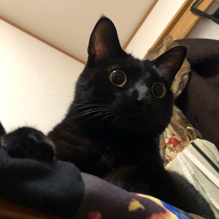 97e91ecc e1b4 417f 82b5 e6e34a1ca3f0 1576068778818