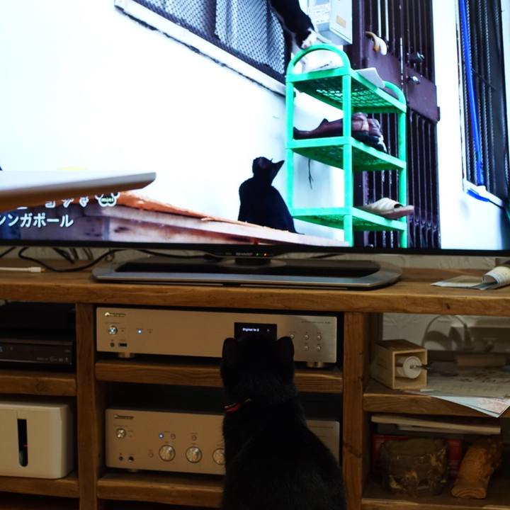 97e9400d 8e58 4872 9d31 d2dda405d82b 1532476018753