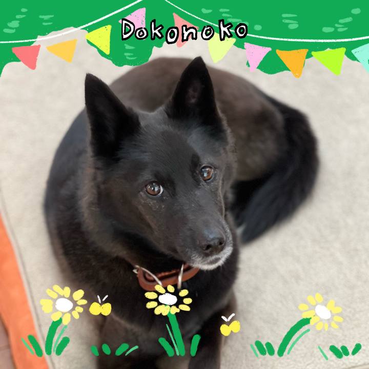 97e94b66 509f 455a 9d6b f5b7ecd78f02 1711360883437