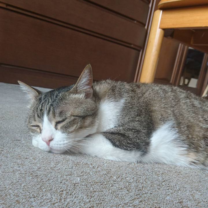 97e99a95 207f 49ea a5bf ad044847662c 1528173340028