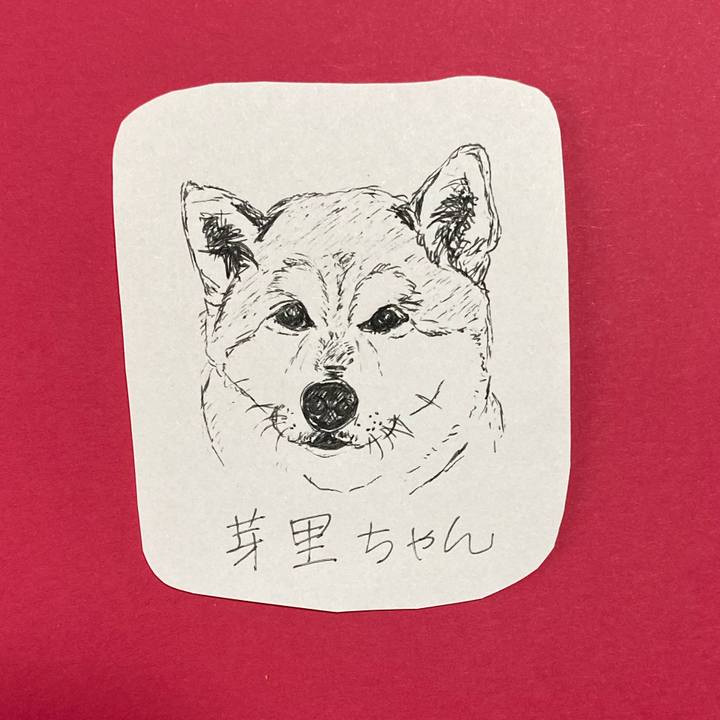 97e9b917 8af6 49f6 adb4 1e6313f58c79 1618804702700