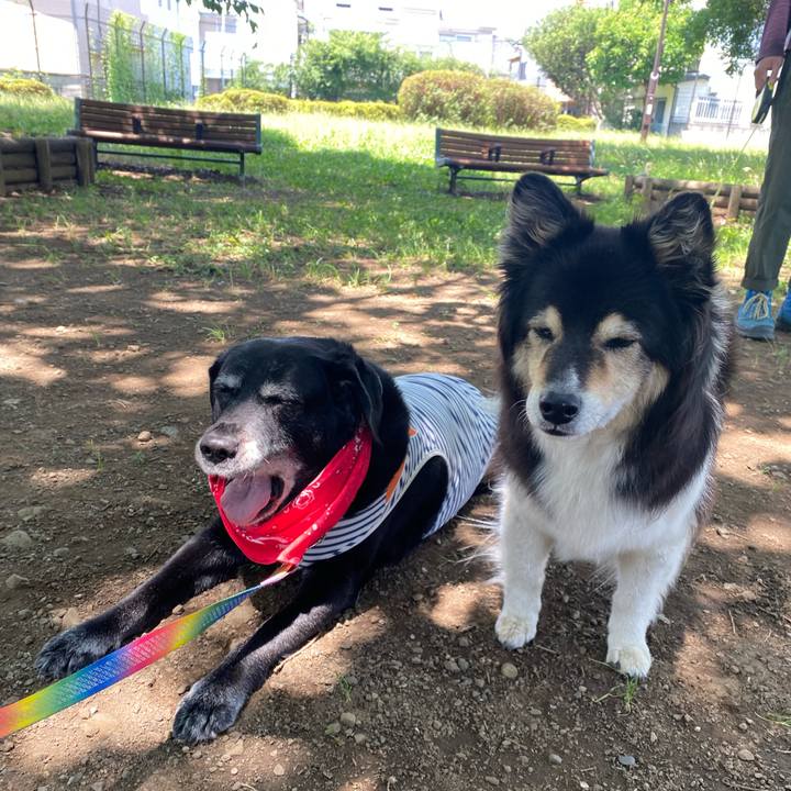 97e9b94c b60d 4b20 95c2 d3f56cd5a678 1688609297755