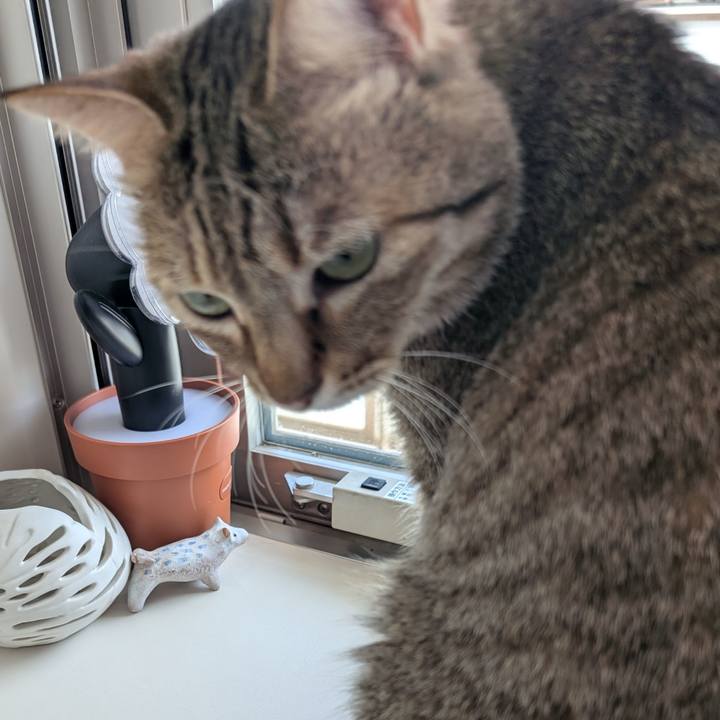 97e9c362 f388 484f b39e 02be54eed825 1760308949867